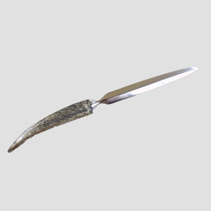 Stag Antler Letter Opener